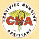 Certified Nursing Assistant Decal