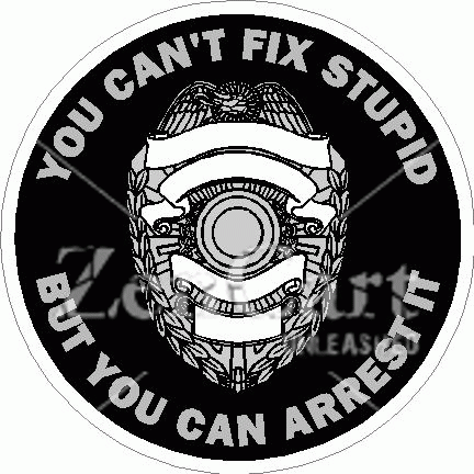 You Can\'t Fix Stupid Badge Decal