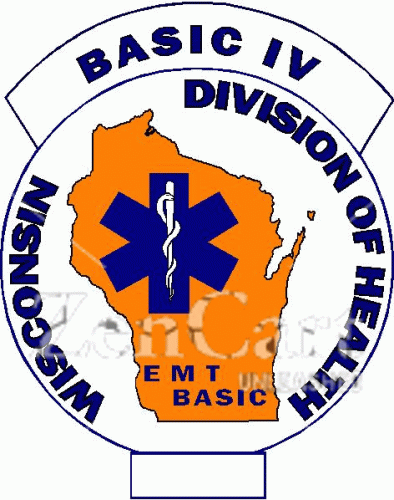 Wisconsin Basic IV Decal