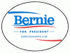 Bernie Sanders For President 2016 Decal