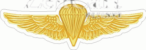 U.S. Navy Parachutist Decal