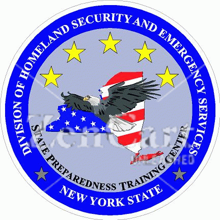 Division Of Homeland Security New York Decal