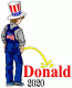 Pee on Donald 2020 Decal