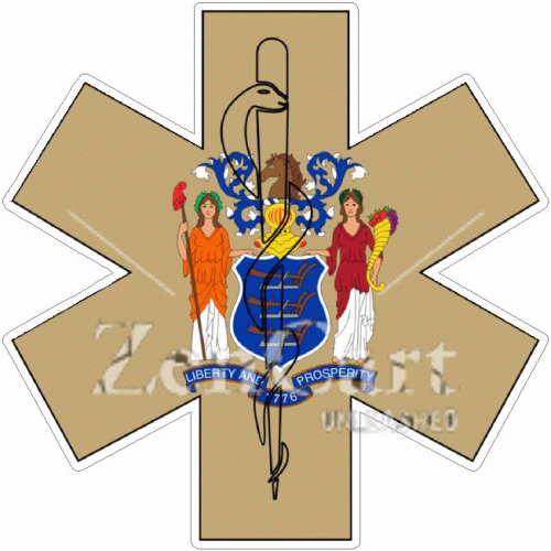 State Of New Jersey Star Of Life Decal