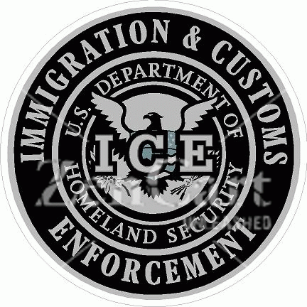 DHS Immigration & Customs Enforcement Subdued Decal