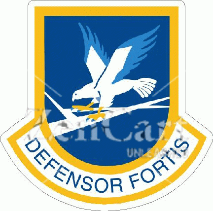 U.S. Air Force Security Forces Decal