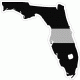 Florida Thin Silver Line Decal