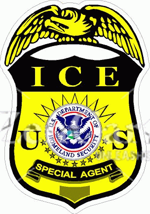 ICE Special Agent Badge Decal