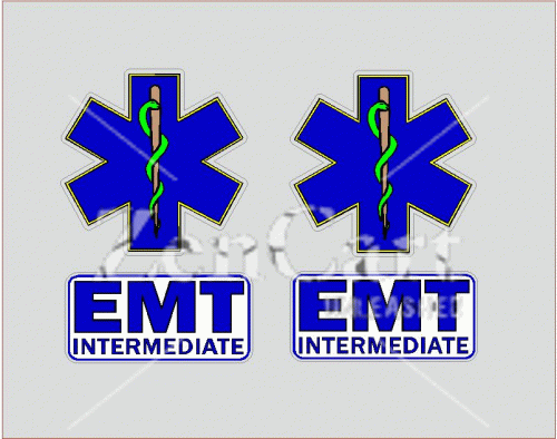 EMT-I Decal Set