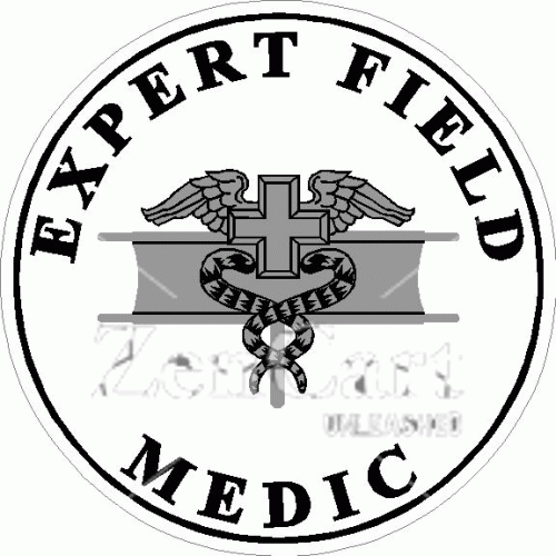 Expert Field Medic Decal