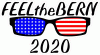 Feel the Bern 2020