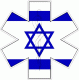 Israel Star Of Life Decal