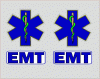EMT Decal Set