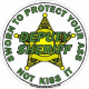DEPUTY SHERIFF Sworn To Protect Your Ass Not Kiss It Decal