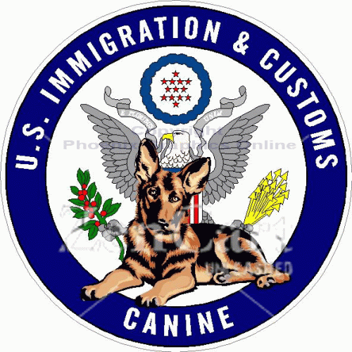 U.S. Immigration & Customs Canine Decal