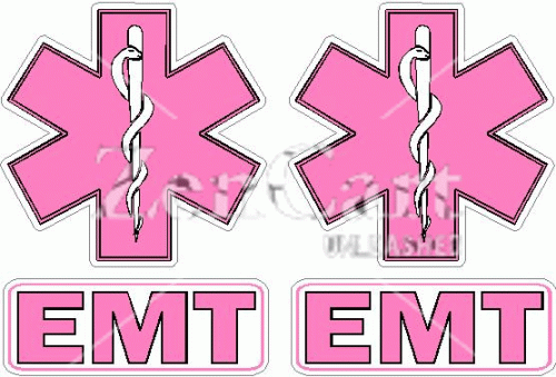 Ladies Pink EMT Decal Set