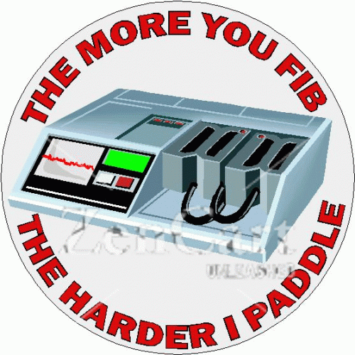 The More You Fib Decal
