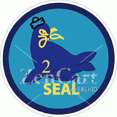 Seal Team 2 Decal