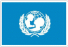 UNICEF Flag Decal