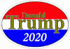 Donald Trump 2020 Red White & Blue Decal