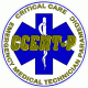 CCEMT-P Critical Care EMT Paramedic Decal