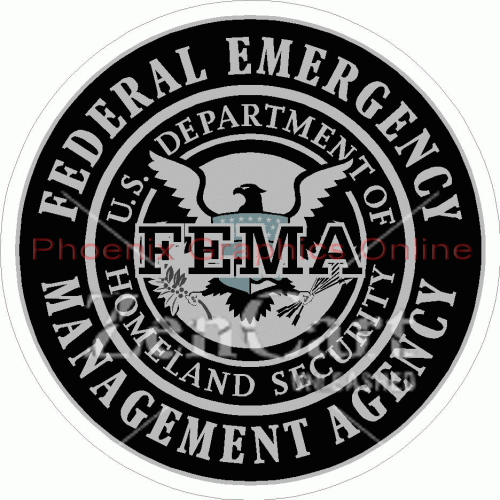 FEMA Federal Emergency Management Agency Subdued Decal