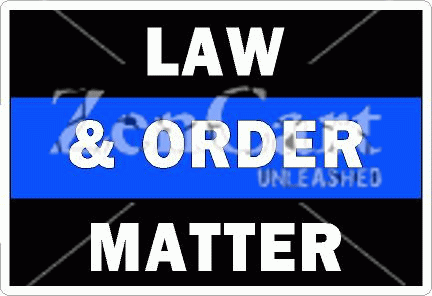 Thin Blue Line Law & Order Matter Decal