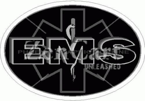 Black / Subdued EMS Star of Life Decal