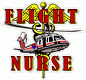 Flight Nurse Decal