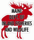 Maine Game Warden Moose