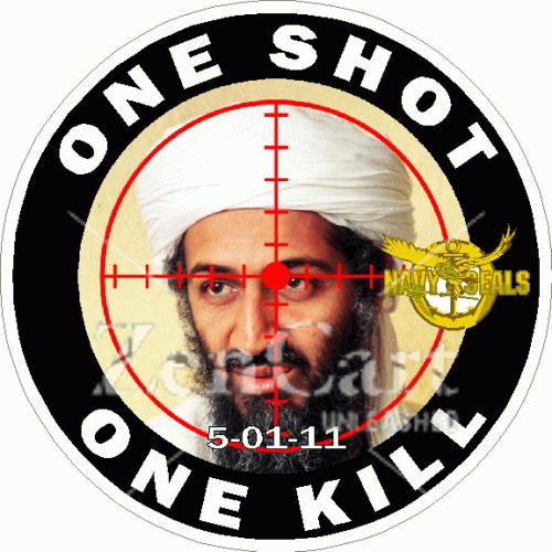 One Shot One Kill Osama Bin Laden Seal Teram 6 Decal