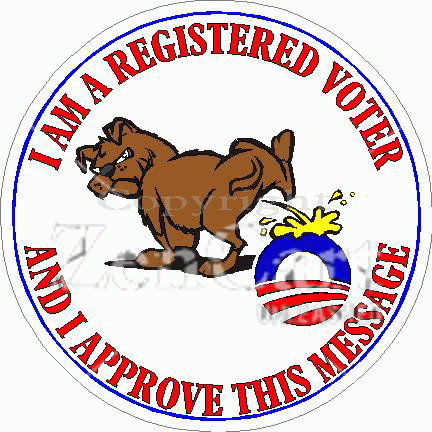 I Am A Registered Voter & I Approve This Message Decal