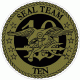 Seal Team 10 Subdued Decal