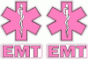 Ladies Pink EMT Decal Set