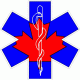 Canadian Star of Life Decal