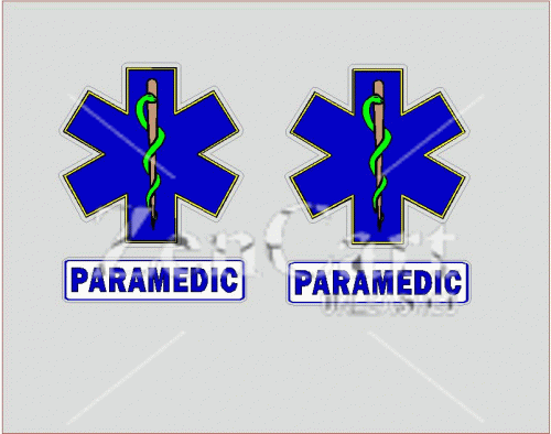 Paramedic Decal Set