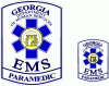 Georgia EMS Paramedic Decal