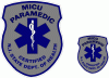 New Jersey MICU Paramedic Decal