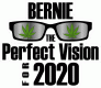 Bernie, the perfect vision for 2020 USA Flag