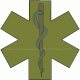 OD Green Star Of Life Decal