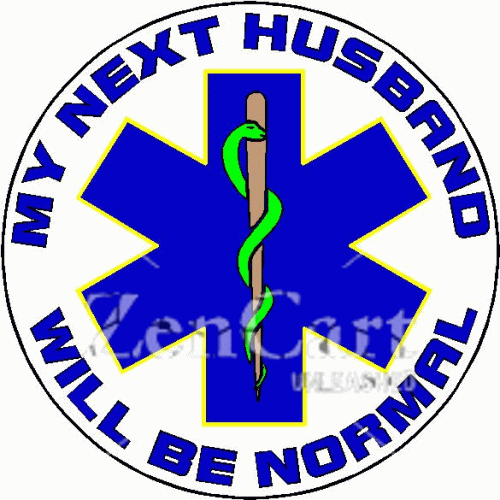 My Next Husband Will Be Normal Decal