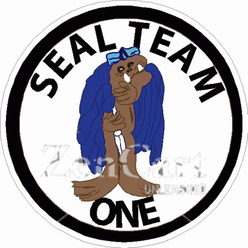Seal Team 1 Decal