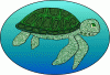 Sea turtle with background