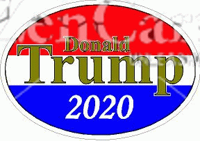 Donald Trump 2020 Red White & Blue Decal