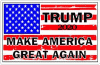 Make America Great Again Flag Trump 2020 Decal