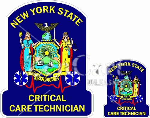 New York State Critical Care Technician Decal