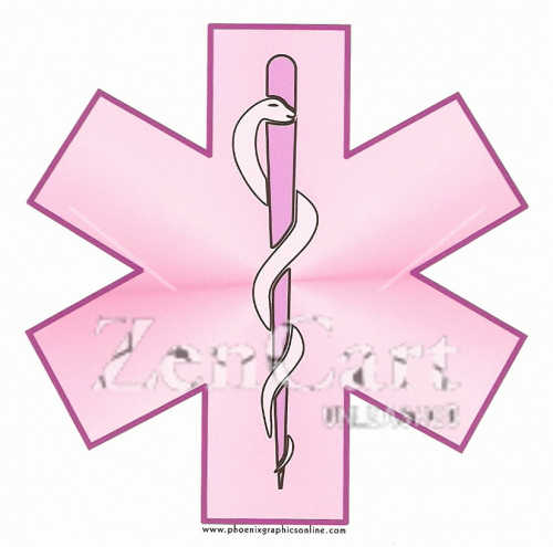 Star Of Life Decal Pink