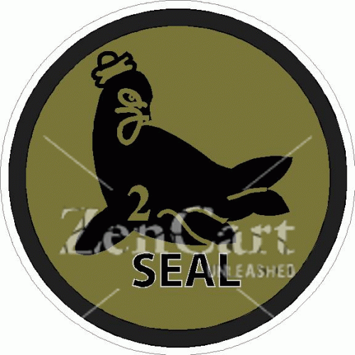 Seal Team 2 Subdued Decal