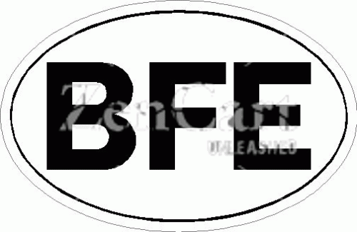BFE Bum F%@k Egypt White Oval Decal