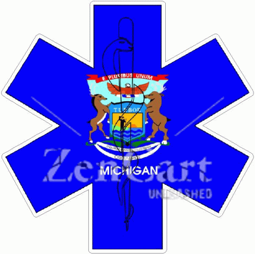 State Of Michigan Star Of Life Decal
